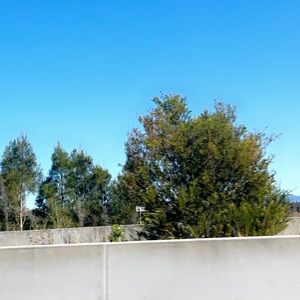 Meet your Posher, Max